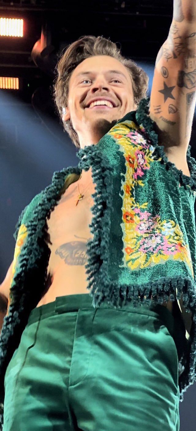 Harry Styles 