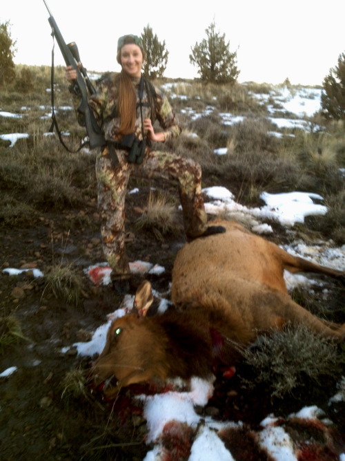 Got my first elk this year.