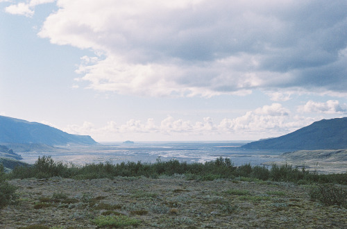 Day 4 - Basar to DosmorkFinal point to point day. We hit treeline in earnest today; the sparse veget