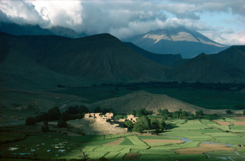 pleoros:bruno barbey, morocco, near tabant, fields of barley, 1988.