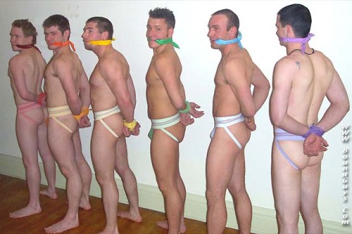boundgayby:  The six newly-inducted members of the frat were told to dress up in the colors of the rainbow, down to socks and jockstraps — and no pants. They didn’t mind at first, figuring it was just part of initiation shenanigans as the newest brothers.
