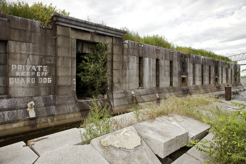 patgavin:  Fort Carroll, Baltimore, Md Pre-Civil War man-made defense island in the middle of the Patapsco River, designed by Robert E. Lee, abandoned for almost a century.   holy shit, this place looks amazing…never heard of it, but wow, that