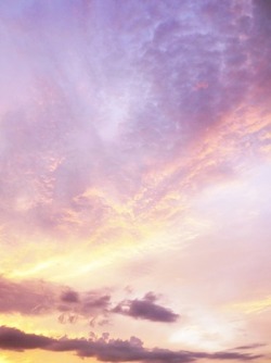 lavendervalar:  D341/365 // July 6credit🌙