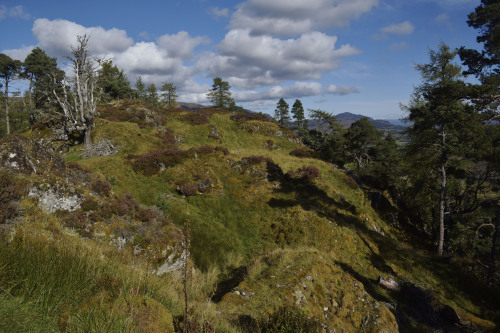 Dun Da Lamh - Fort of the Two HandsThis Pictish fort is located in Speyside, overlooking the River S