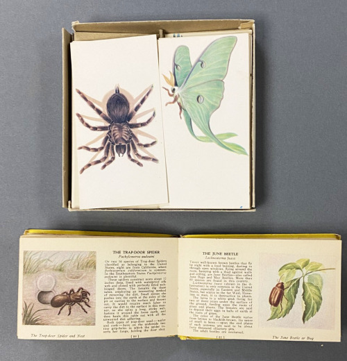 Science SaturdayThis week we are looking at educational materials aboutinsects geared towards childr