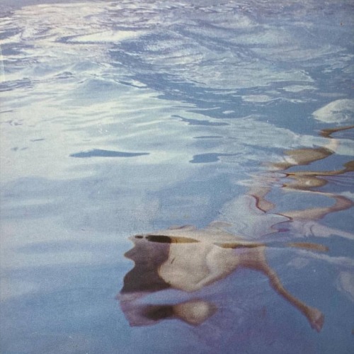 toastistoasty:David Hockney, Paper pools, 1980
