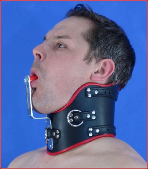 boysobey:parisiangayperv:nicethis could be indispensable for training faggots Sirs