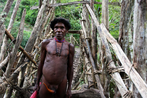     Papuan   Dani   man, via Yaiza Schmöhe porn pictures