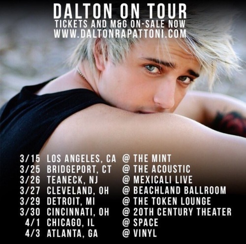 dalton rapattoni