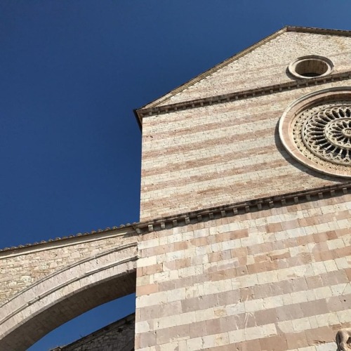 The great striped facade of the Basilica of Santa Chiara. ~~~ This August come take a workshop in As