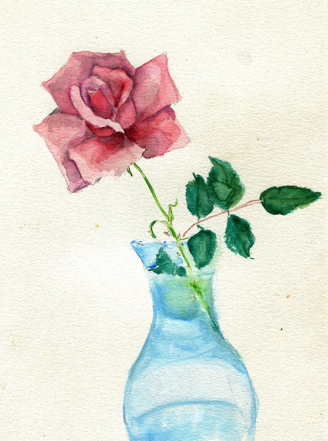 havekat: RosebudWatercolor and Chinese Ink On Paper2017, 9&quot;x 12&quot;Pink