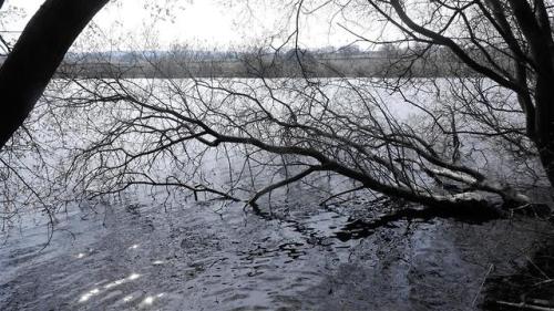 The Fallen.Snapped at Fewston Reservoir, North Yorkshire. England. 