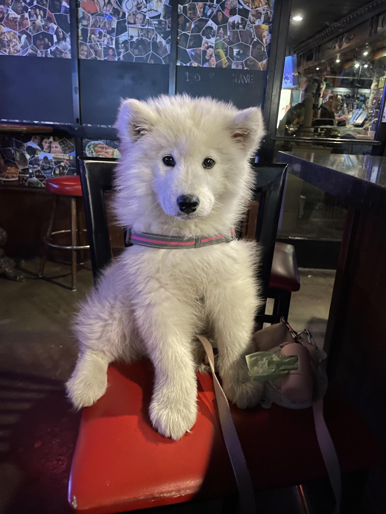 Who’s that cutie at the bar?