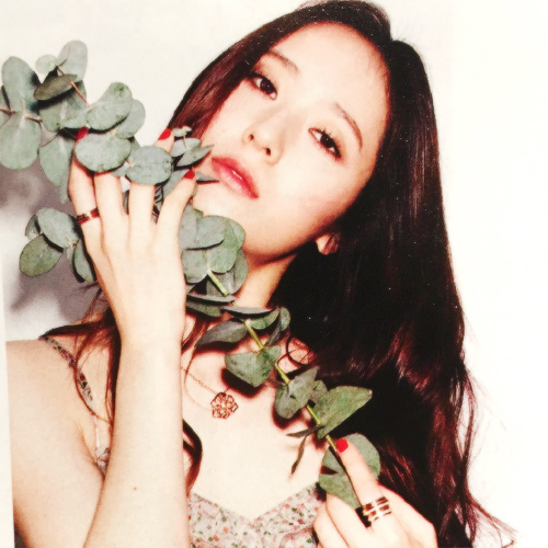 Krystal Icons.