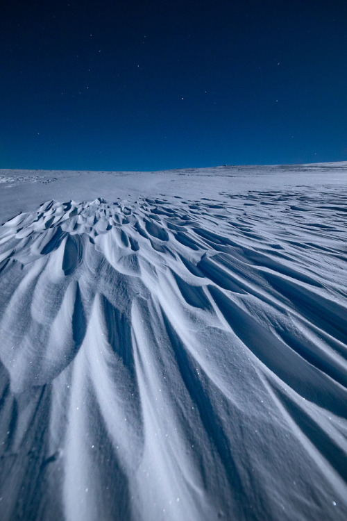 tiinatormanenphotography - Moonlight magic from Finnish...