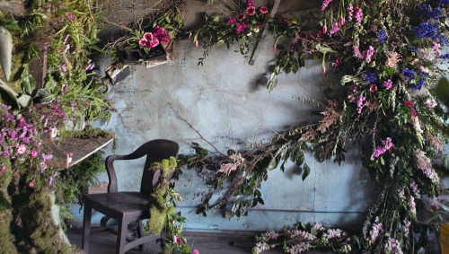 girlinbk:Flower HouseAn Abandoned Detroit House Gets Adorned with 4000 FlowersDetroit florist, Lisa 