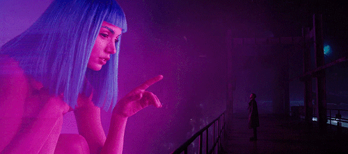 joewright:Cinematography by: Roger DeakinsBlade Runner 2049 (2017)Directed by Denis Villeneuve“I wat