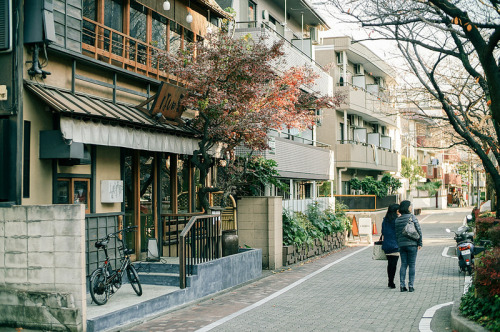 tokioqueen:Nakameguro District (中目黒) in Tokyo Japan by TOTORORO.RORO on Flickr.