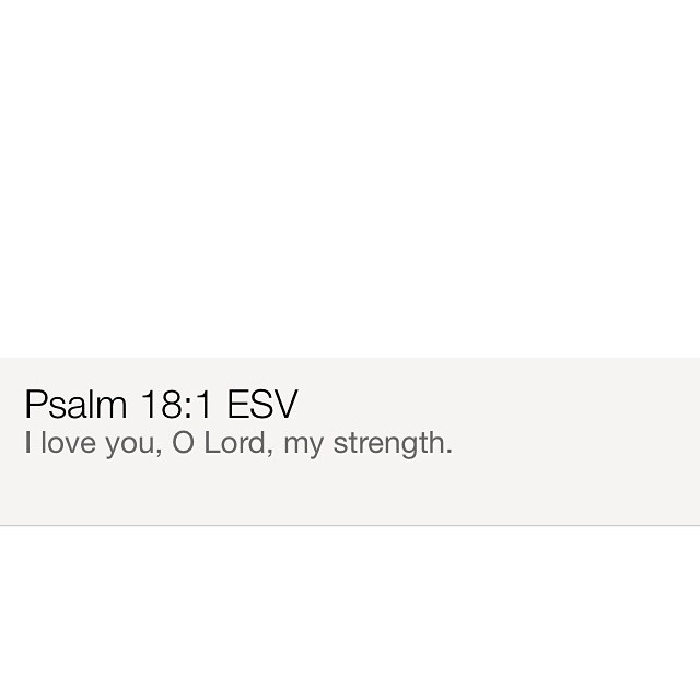 Verse of the day