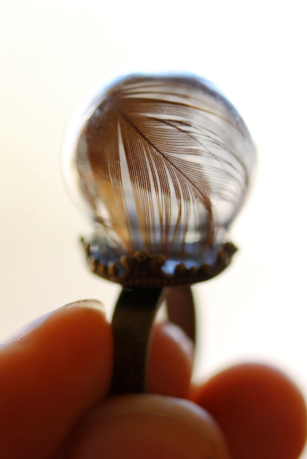 wordsnquotes:  culturenlifestyle: Romantic Crystal &amp; Terrarium  Encapsulated