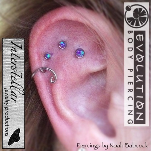 Three fresh deep #helixpiercing s with jewelry by #anatometal and one healed helix piercing with jew