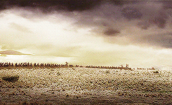 andrewserkis:  Fan Challenge: One of Ten Movies: The Lord of the Rings: The Return of the King  Hold