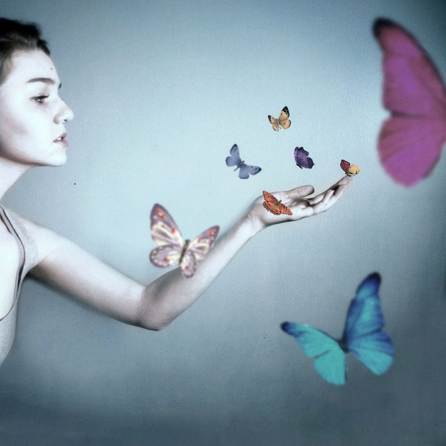 228 by Rachel Baran 