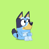 Bluey Stimboard !! 
