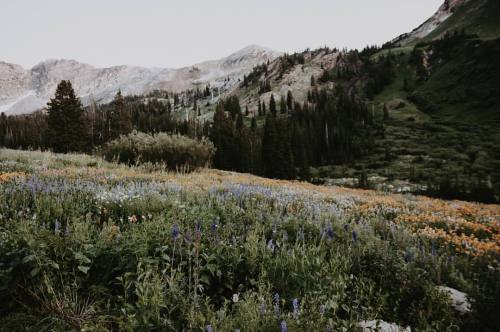 alternativeindigo:Oh Utah, you sure are pretty