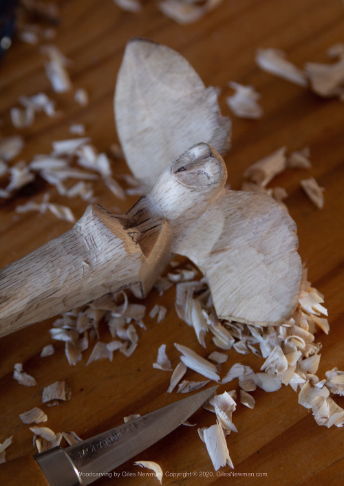 The Barn Owl Spoon (2018) - SoldCarved in English Oak by axe and knife.This spoon was inspired by a 