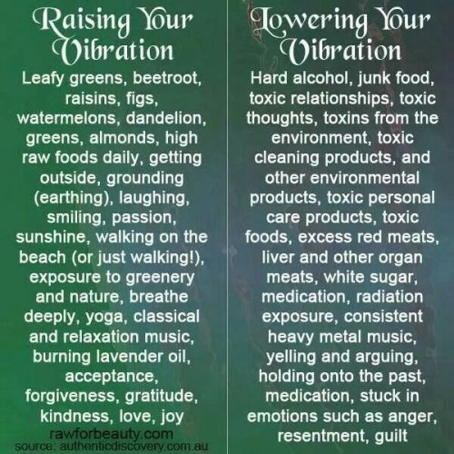 Whatever your path may be, raising your vibration can improve all aspects of your life; it will also
