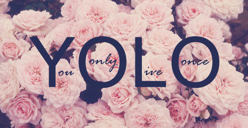 soy0ungsohigh:  Yolo flowers on We Heart Ithttp://weheartit.com/entry/81455586/via/Miiney13