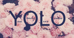 soy0ungsohigh:  Yolo flowers on We Heart Ithttp://weheartit.com/entry/81455586/via/Miiney13 