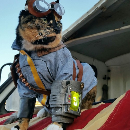 cat-cosplay:In the patriotic words of Liberty Prime… “Democracy is non-negotiable.”