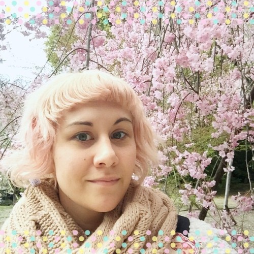commanderholly:Cherry blossoms!