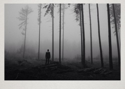 inspiringpieces:  Conceptual photographs by Martin Vlach. The artist digitally merges his own photography with elements of nature to create surreal, atmospheric scenes that feel both isolating and mysterious. source: http://goo.gl/RJNLT1 