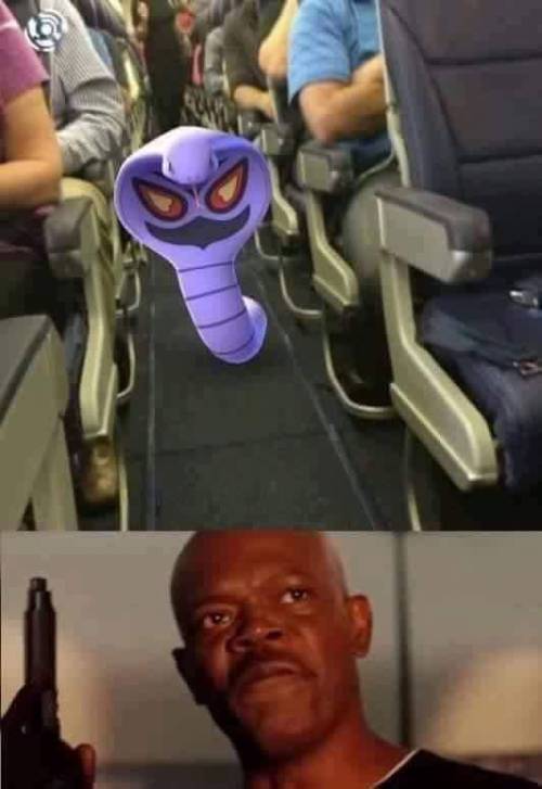 funnymemeworld:I’ve had it with these motherfucking snakes on this motherfucking plane!