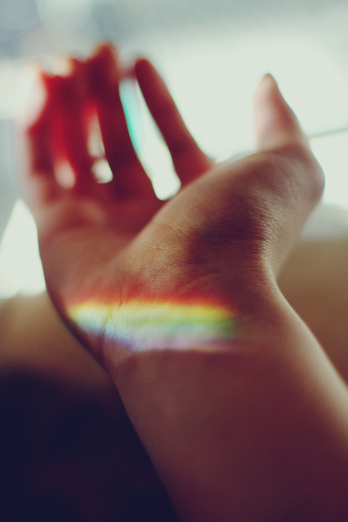 tooweirdto-live-toorareto-die:  ▲ 