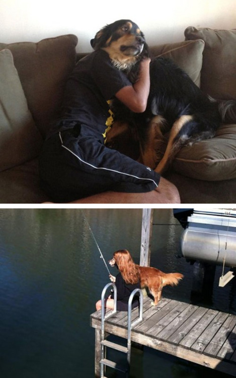 tastefullyoffensive:  Perfectly Timed Dog Photos [boredpanda]Previously: Before and After Pictures of Animals Growing Up 