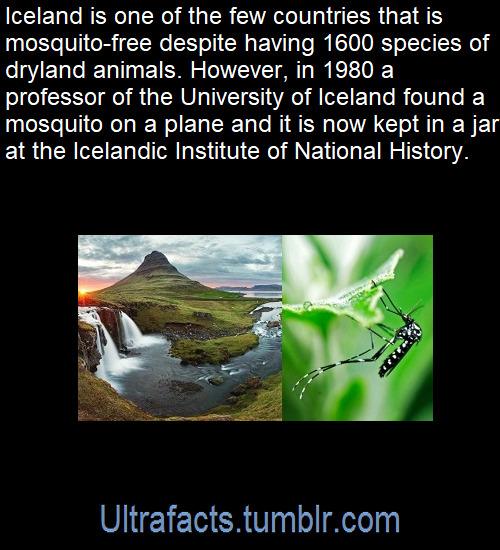 ultrafacts:  Source: [x]Click HERE for more facts!