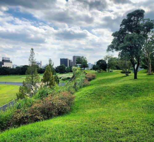 昭和記念公園 浮遊の庭 [ 東京都立川市 ] Showa Kinen Park &ldquo;Fuyu-no-Niwa&rdquo;, Tachikawa, Tokyo の写真・記事を更新しました。 