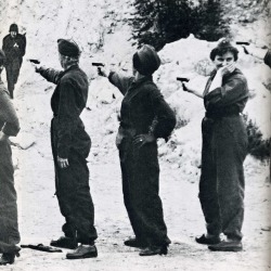 At a training session of a Swedish militia group, a volunteer