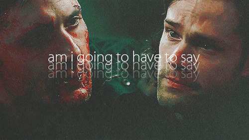 I Just… I Don’t Know How To Say Goodbye. (insp) 