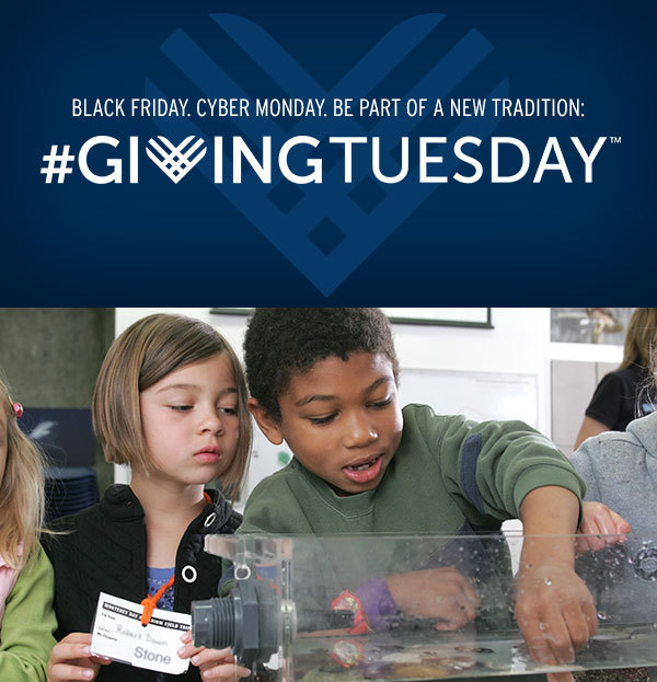 On Tuesday, December 2, we’re taking part in #GivingTuesday: a global day dedicated to giving back. Won’t you help us build a new Ocean Education and Leadership Center, and inspire a new generation of ocean leaders?
Donate now