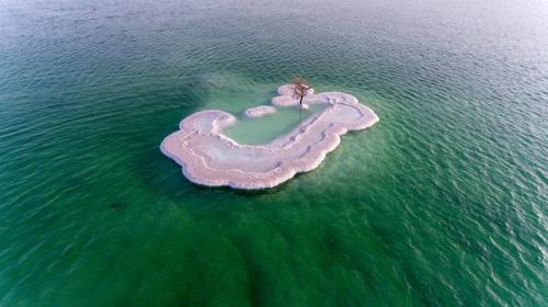 fillielitsa:The loneliest tree in the worldThe Dead Sea is a lifeless body of water between Israel a