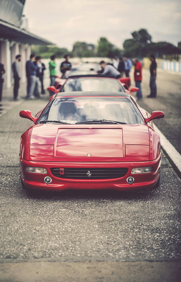 themanliness:  Ferrari F355 GTS | Source | More 