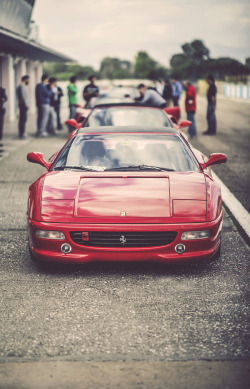 themanliness:  Ferrari F355 GTS | Source