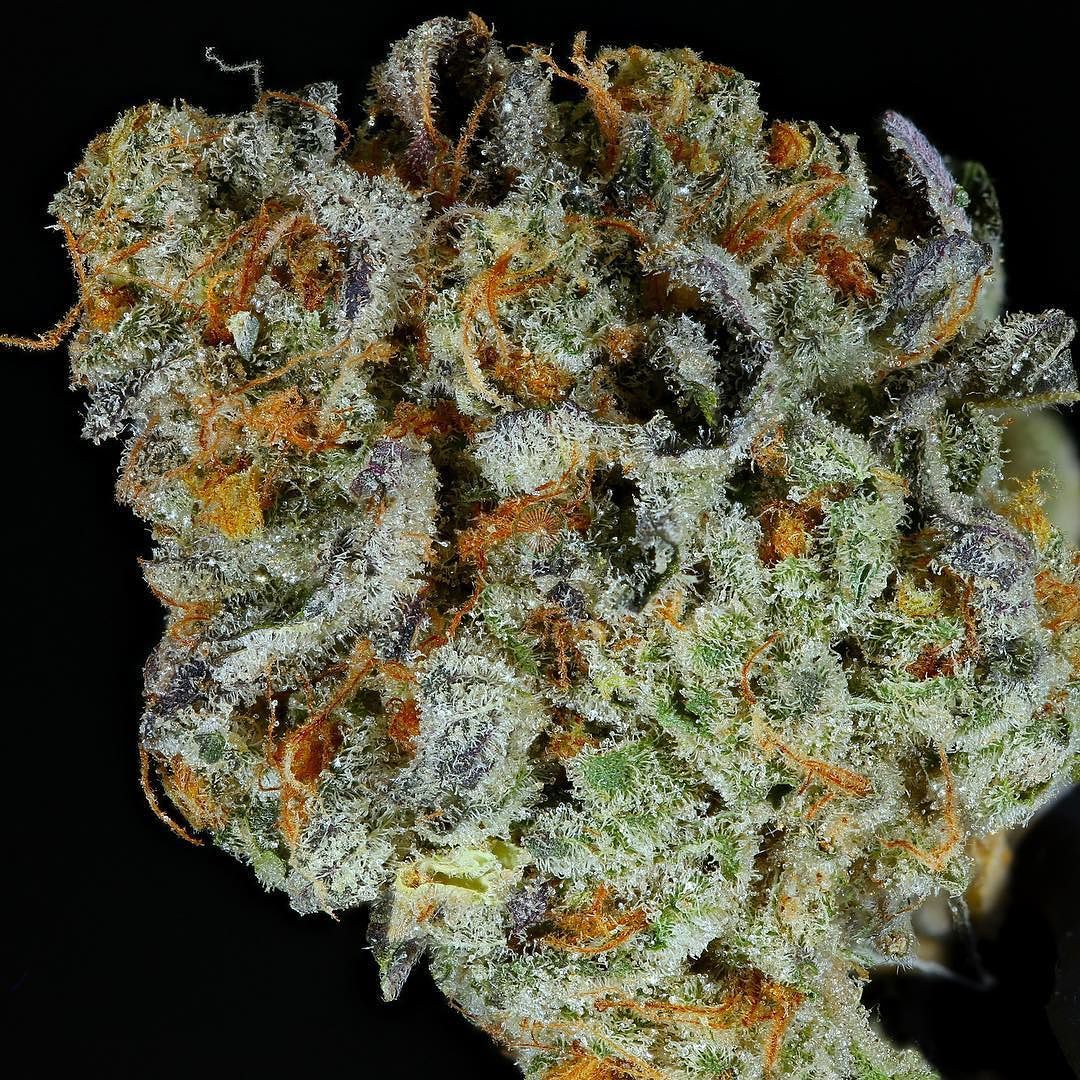 weedporndaily:  Platinum Huckleberry Cookies available at @naturalwonders.pdx and