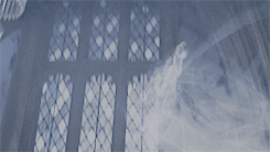 slyurin:  harry potter meme  4/10 characters ✧  luna lovegood “A Wrackspurt … They’re invisible. The