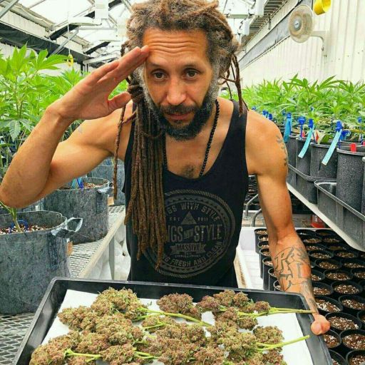 Kushmastersworld: